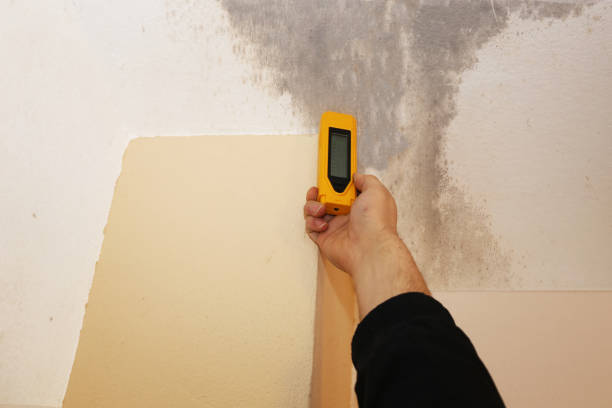 Best Residential Mold Inspection & Testing  in Onsted, MI