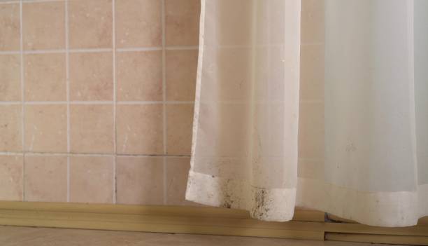  Onsted, MI Mold Removal Pros
