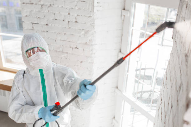 Best Post-Construction Mold Inspection  in Onsted, MI