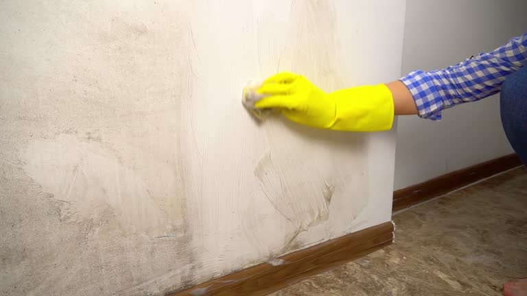 Best Mold Removal for HVAC Installations  in Onsted, MI